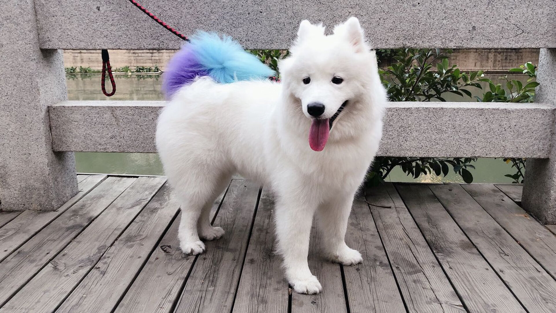 虚空的裂痕，当基耶萨的左脚击碎贝蒂斯冰岛纪元的不败神话