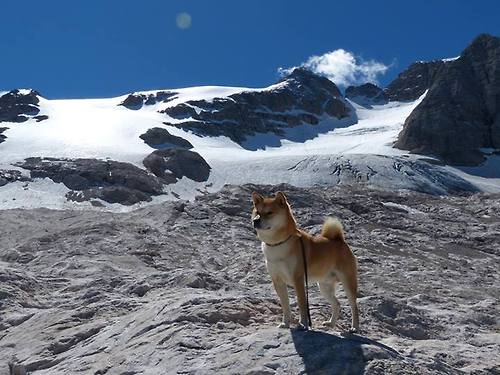 跨洋三分雨，库里单节23分击穿山西，猛龙惊险守胜