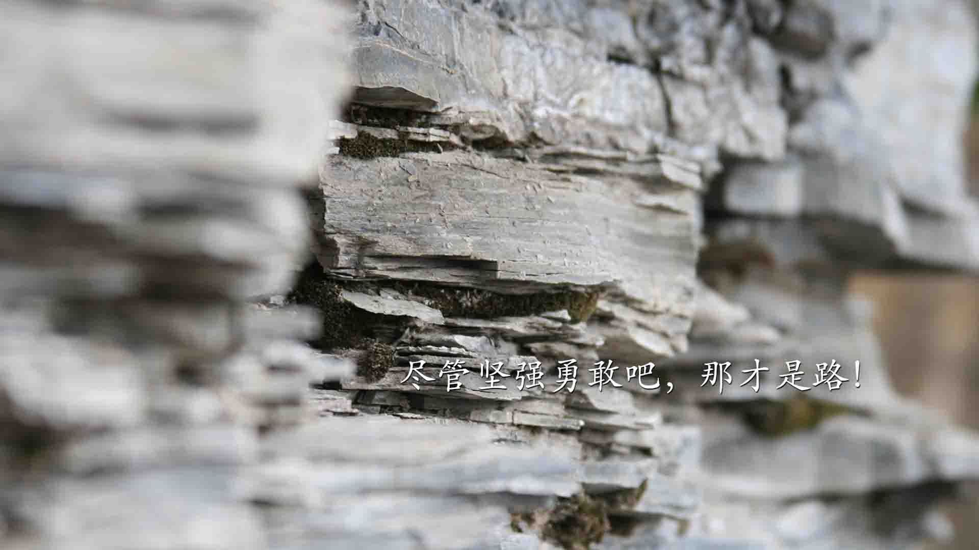 巨星光环的喧嚣与静默浪潮，詹姆斯的关键艺术，猛龙团队齿轮的连续绞杀