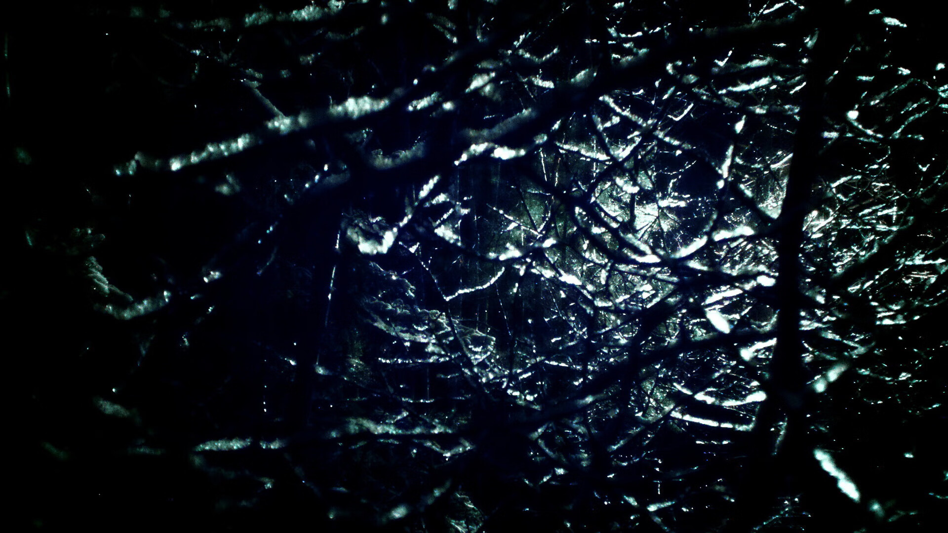 金色轰炸机与红色图腾,当公牛闯入2026世界杯