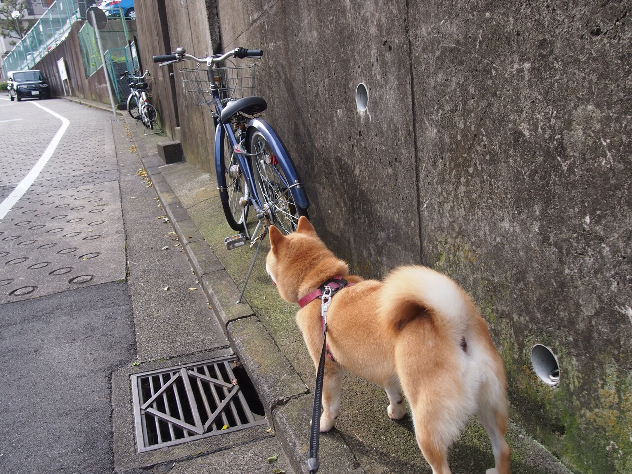 跨越大陆的共鸣,德比硝烟与孤城英雄—论体育世界里决定性的三分钟
