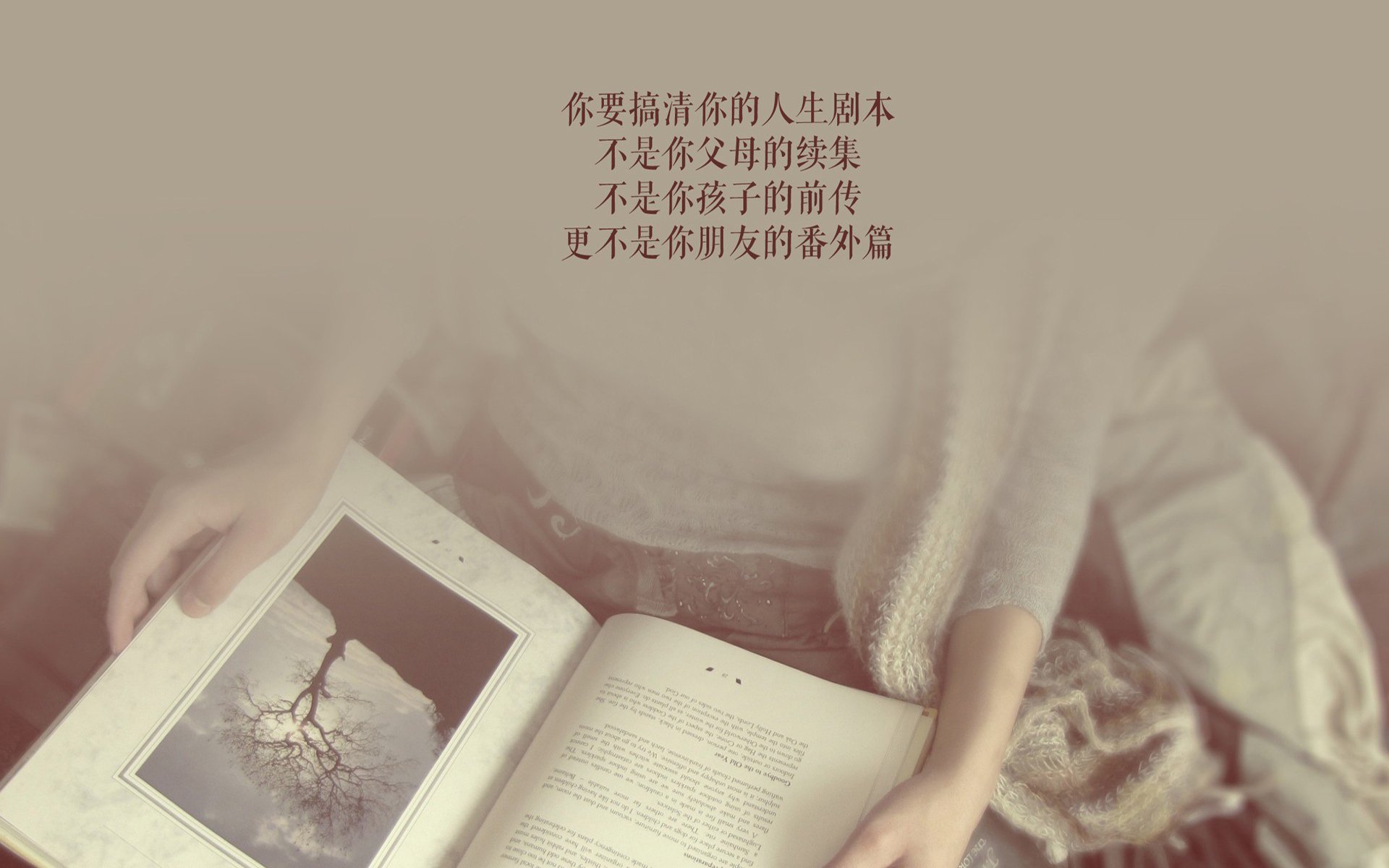 唯一裂痕,贝蒂斯的战术铁幕与帕尔默那一束穿过的光