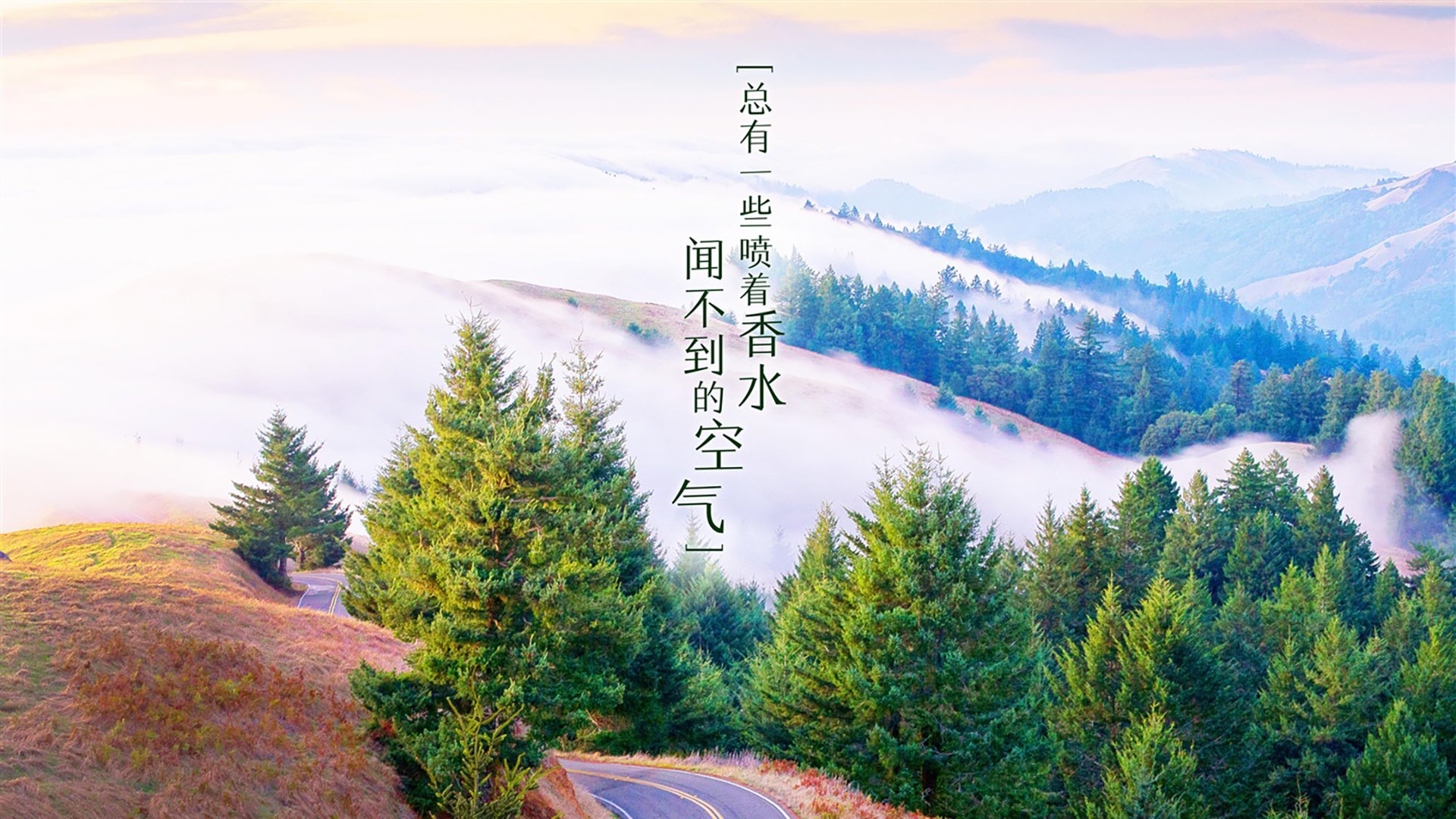 黑星陨落，蓝武士折戟，当吉鲁的致命一击为非洲荣耀加冕