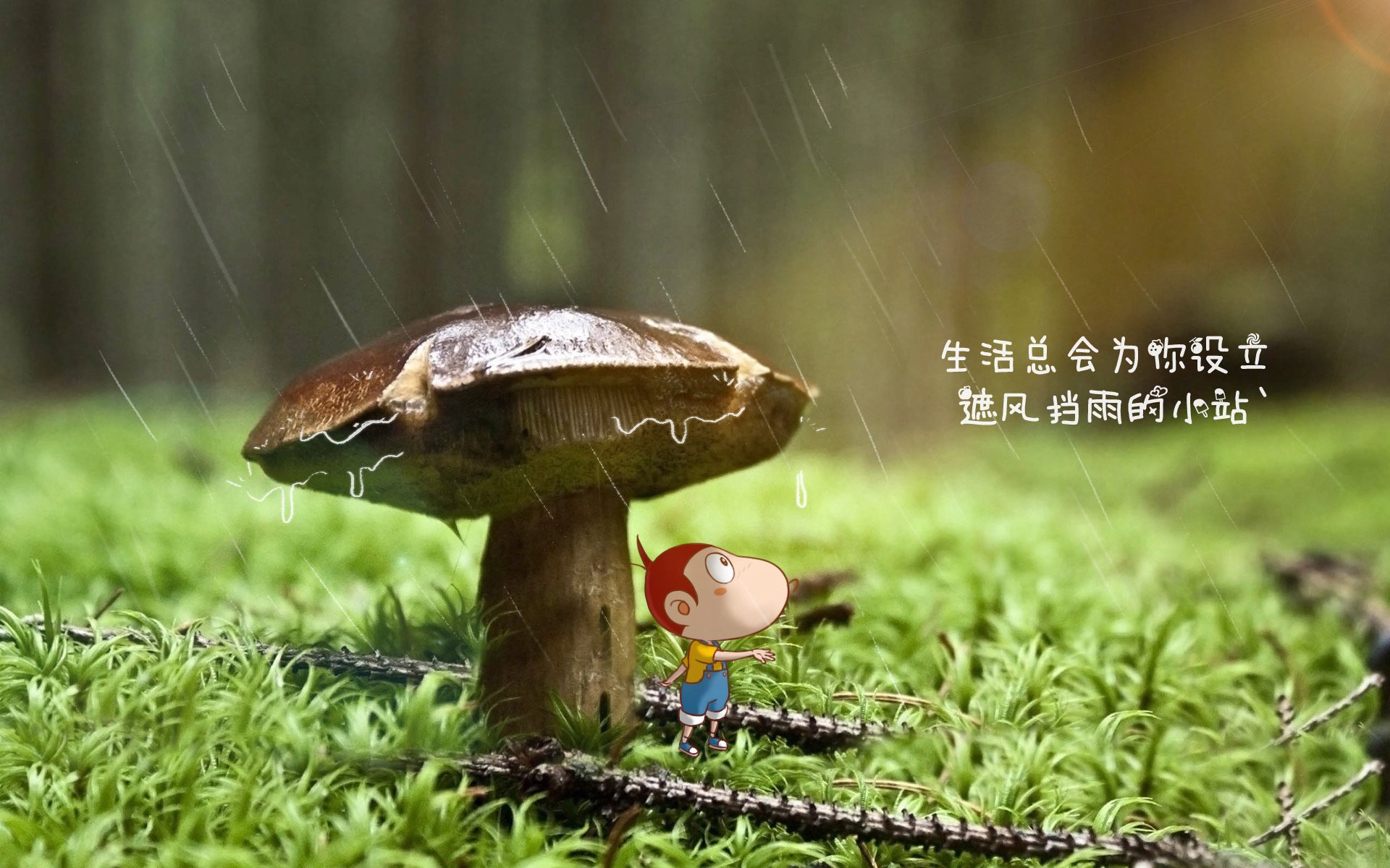 开云体育中国-稀缺品，坎塞洛、一场非典型对决与世界杯DNA的重塑实验